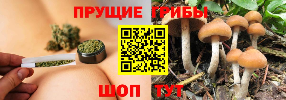 Галлюциногенные грибы ЛСД Белая Калитва